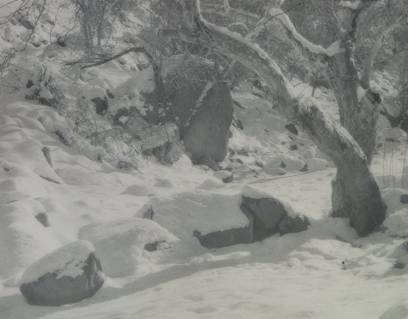 Untitled [snow-covered rocks and trees], Forman G. Hanna, 20th century