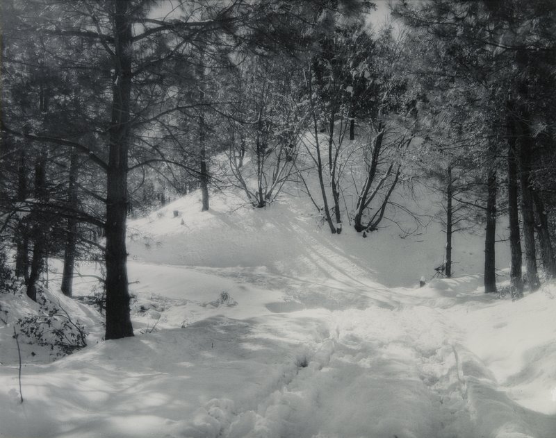 Untitled [trees and snow], Forman G. Hanna, 20th century