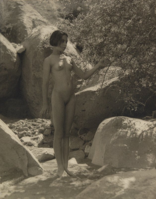 Untitled [nude standing next to tree], Forman G. Hanna, 20th century