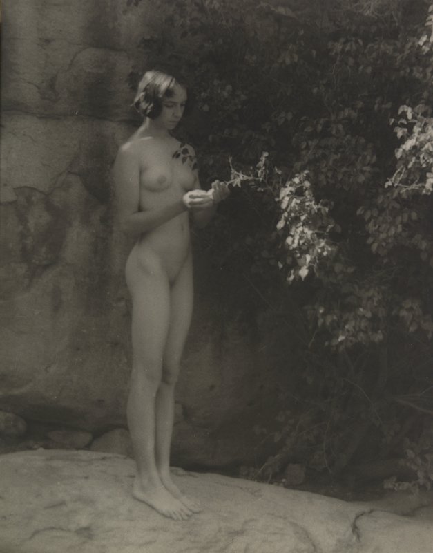 Untitled [standing nude looking at leaves], Forman G. Hanna, 20th century