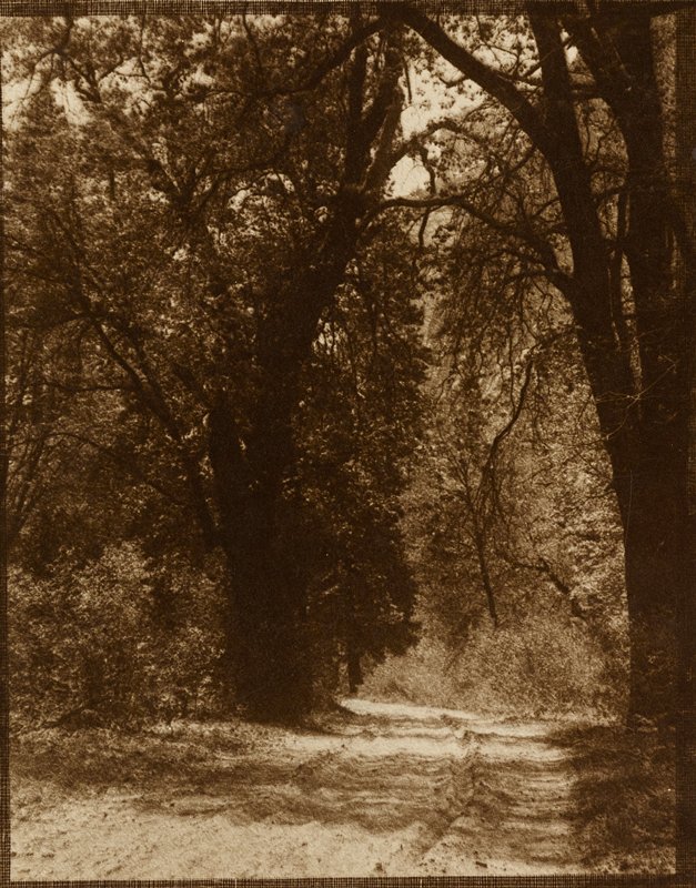 Untitled [path through trees], Sigismund Blumann, 20th century