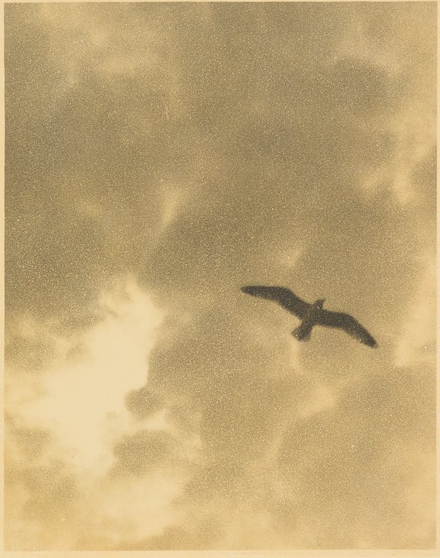 Upward, Sigismund Blumann, 20th century