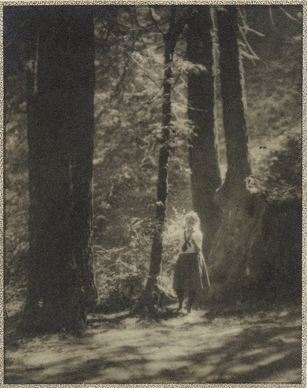 Vera in the Woods, Sigismund Blumann, 20th century