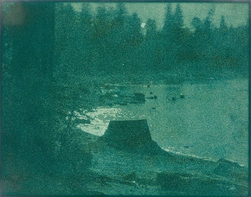 Untitled [tree stump in moonlight], Sigismund Blumann, 20th century
