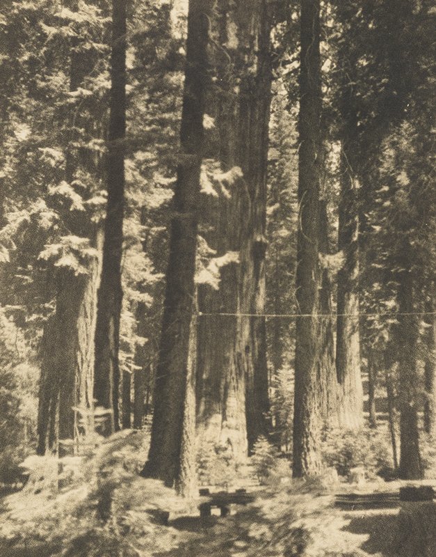 Parker Group, Sigismund Blumann, 20th century