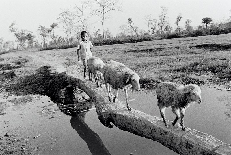Nepal, David Parker, 1993