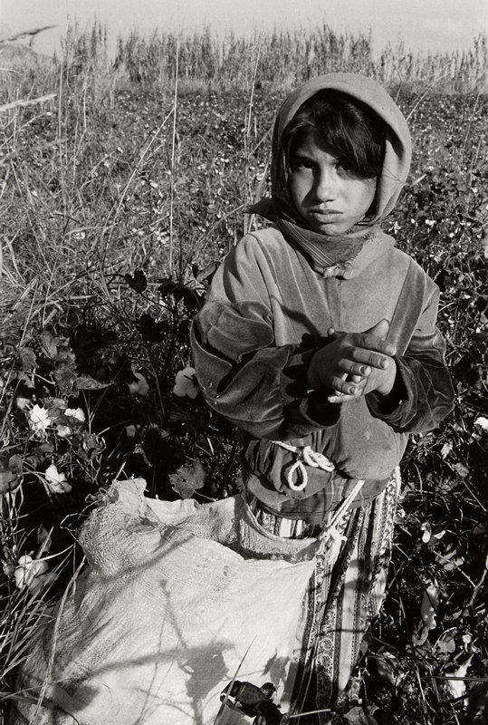 Cotton Picker, Central Turkey, David Parker, 1997