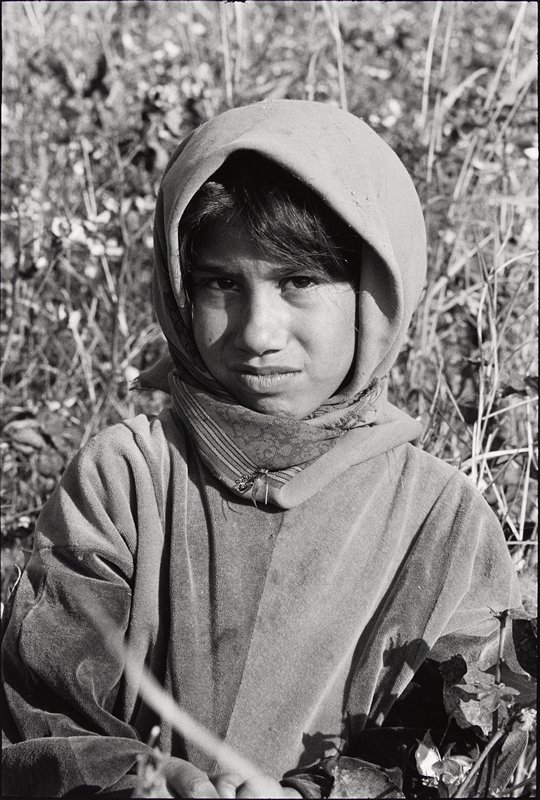 Cotton Picker, Turkey, David Parker, 1997