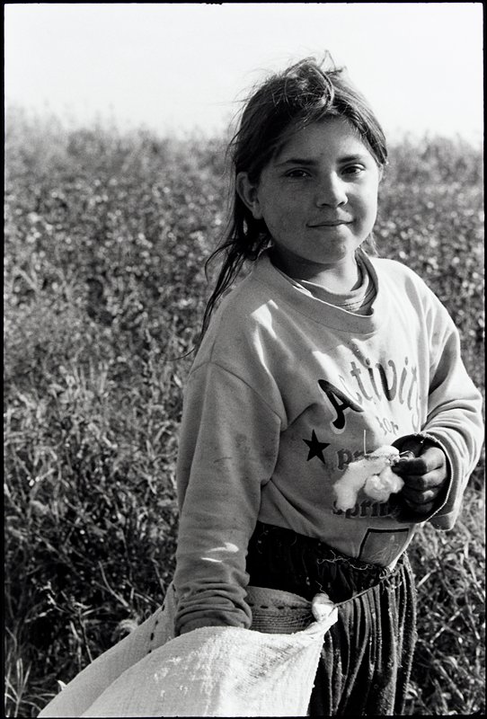 Cotton Fields, Turkey, David Parker, 1997