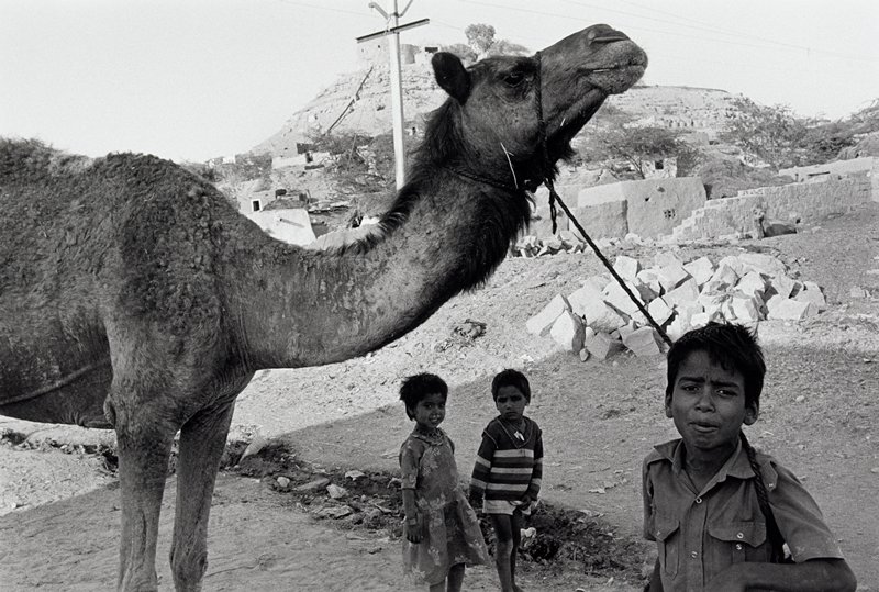 India, David Parker, 1993