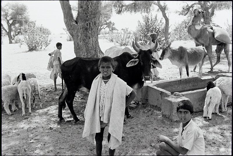 Rajasthan, India, David Parker, 1993