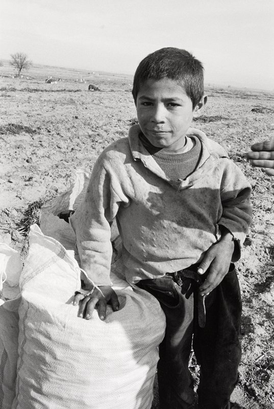 Migrant Worker, Potato Field, Turkey, David Parker, 1997