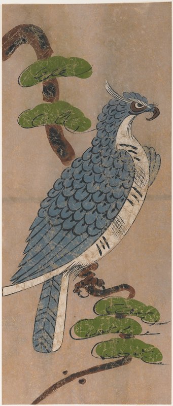 Peregrine Falcon, 18th century
