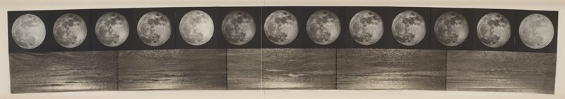 Tidal, Kiki Smith, 1998