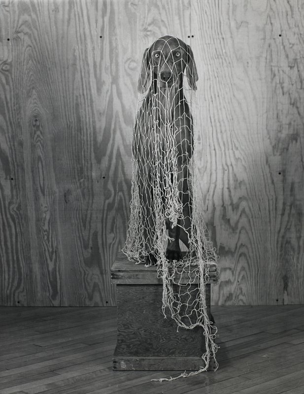 Untitled [dog seated on pedestal, covered by net], William Wegman, 20th century