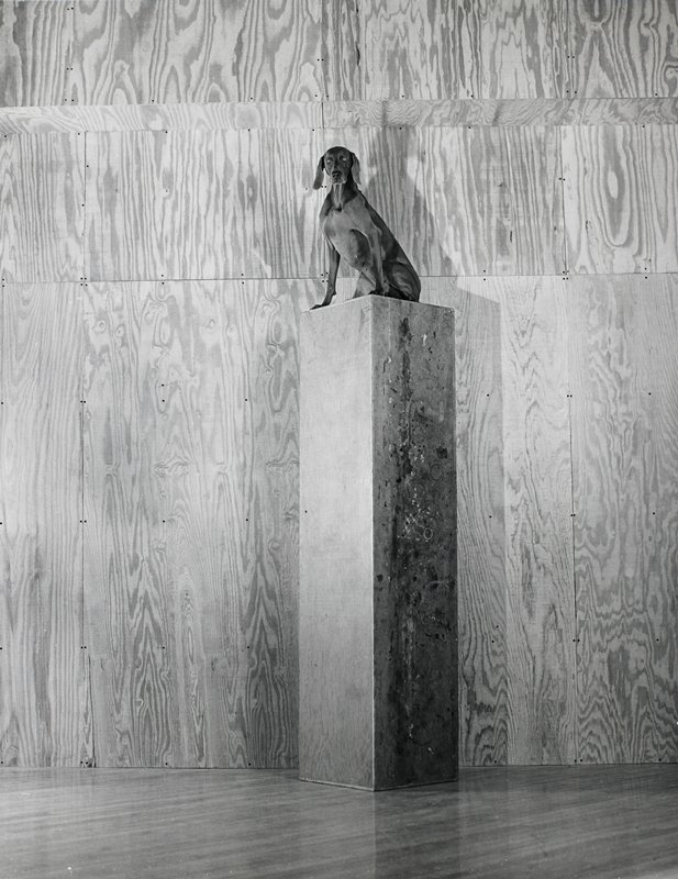 Untitled [dog on a high pedestal], William Wegman, 20th century