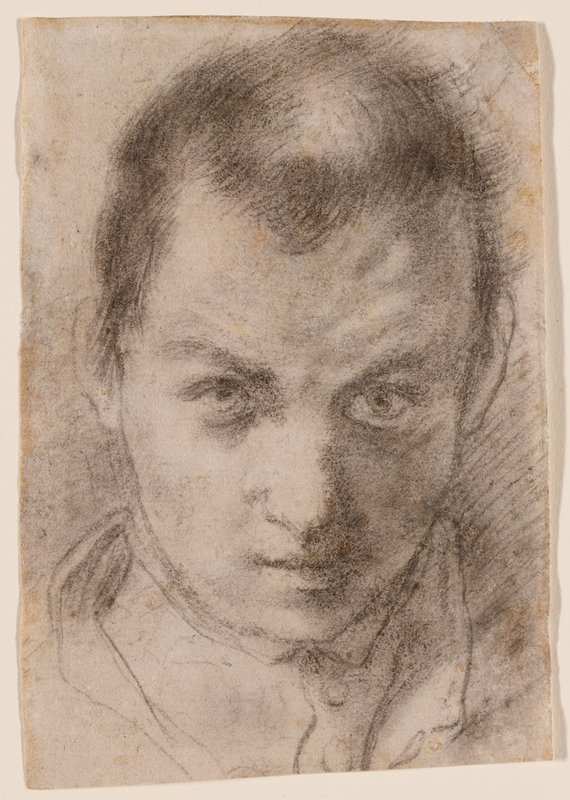 Portrait of a Young Man, Attributed to Annibale Carracci, c. 1585–95
