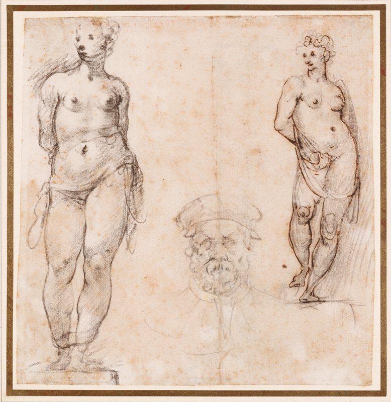 Studies of a Nude Female Statue (Venus) and Head of a Mature Bearded Man (recto); Architectural Studies (verso), Cherubino Alberti, 16th-17th century