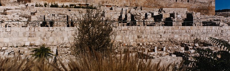 Cemeteries Below Old City Wall, Jerusalem, Israel, Stuart D. Klipper, 1985