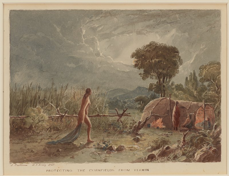 Protecting the Cornfields from Vermin, Seth Eastman, 1849–55