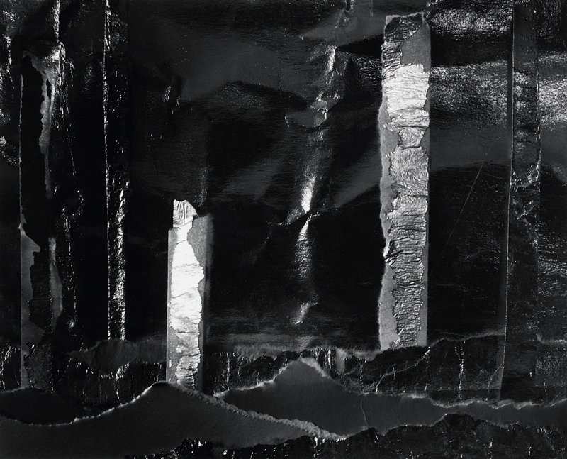 Woods 409, Carl Chiarenza, 1983