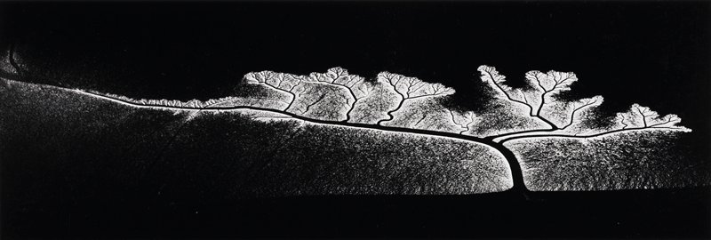 Reflection of the Sun on Dendritic Flow, San Francisco Bay, California, William A. Garnett, 1963