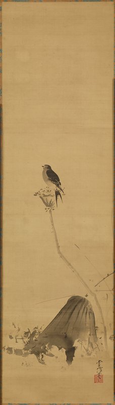 Swallow on a Lotus [right of a pair of Swallow and Heron], Kano Tsunenobu, late 17th–early 18th century