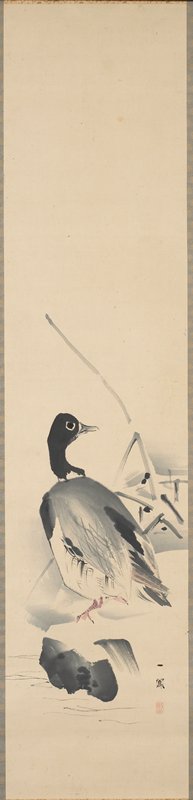 Duck, Mori Ippo, 1820
