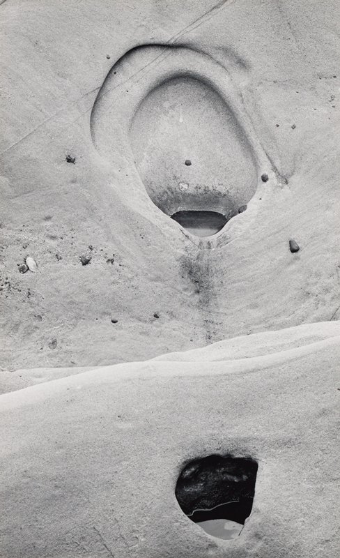 Point Lobos, California, Minor White, 1950