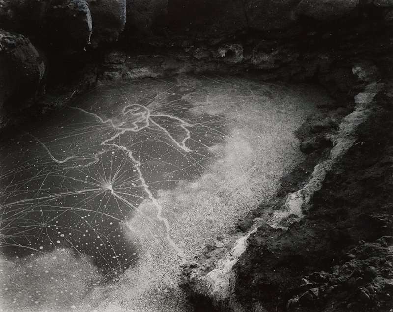 Tide Pool, Wynn Bullock, 1957