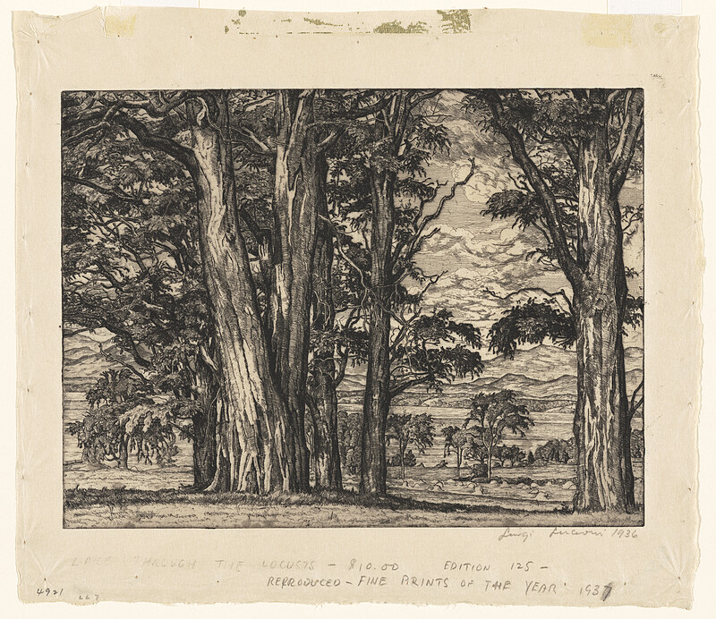 Lake Through the Locusts, Luigi Lucioni, 1936