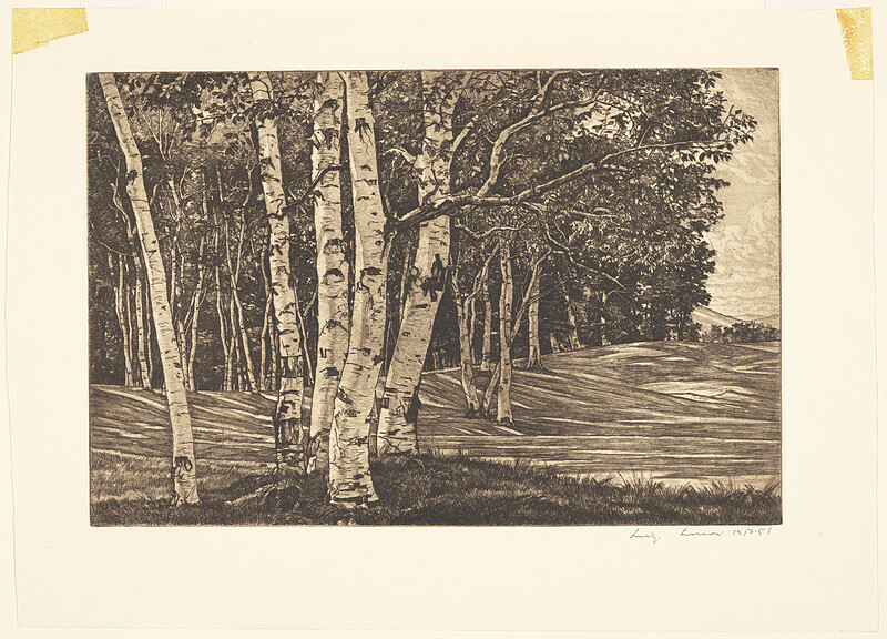 Birch Processional, Luigi Lucioni, 1950–51