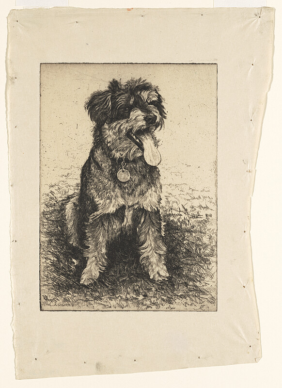 Seated Dog, Luigi Lucioni, 20th century