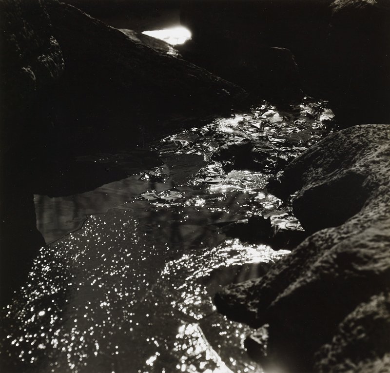 Untitled [flowing liquid with leaves], Ralph Eugene Meatyard