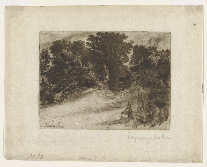 Combe Bottom, Francis Seymour Haden, 1860