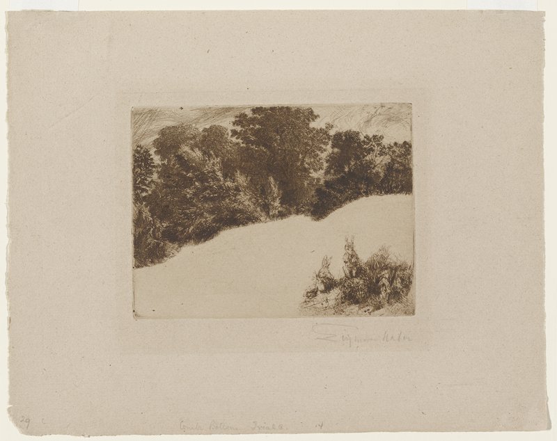 Combe Bottom, Francis Seymour Haden, 1860