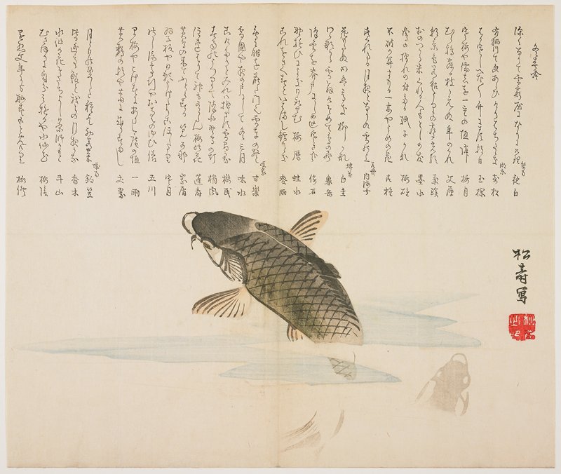 (Leaping carp), Shōrakusai Shōju, 1820s
