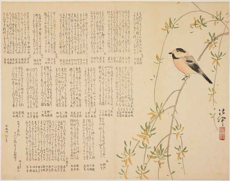 Chikadee on a Willow Branch, Yokoyama Seiki, 1826