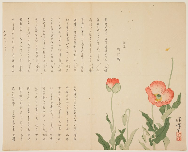 Poppies, Yokoyama Seiki, 1821
