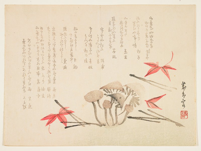 (Mushrooms, maple leaves and pine needles), 19th century