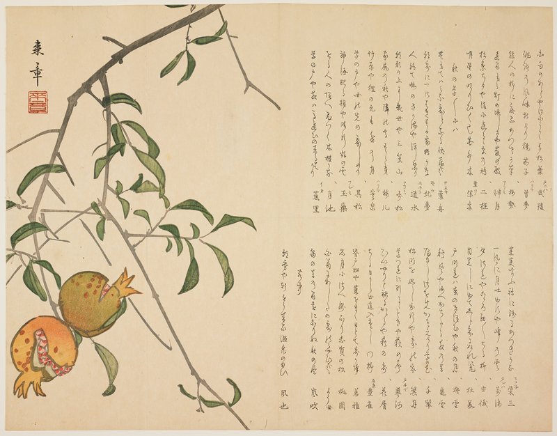 Pendant branches of pomegranates, Nakajima Raishō, 1820s–1850s