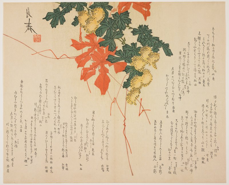 Asters and Red Leaves, Nakamura Nagaharu, 1810s