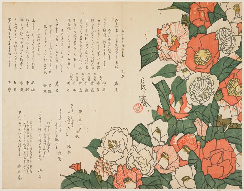 Camellia  Flowers, Nakamura Nagaharu, c. 1820