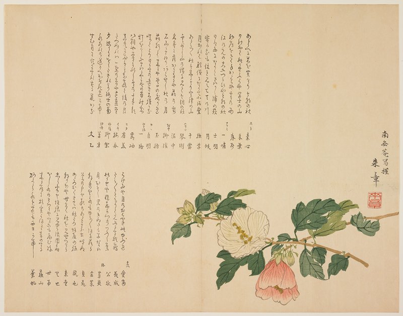 Roses of Sharon, Nakajima Raishō, 1820s–1850s
