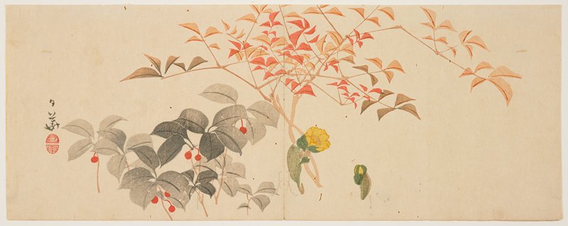(Nandin branch, chloranthus glaber and adonis), Tanaka Nikka, c. 1818–29