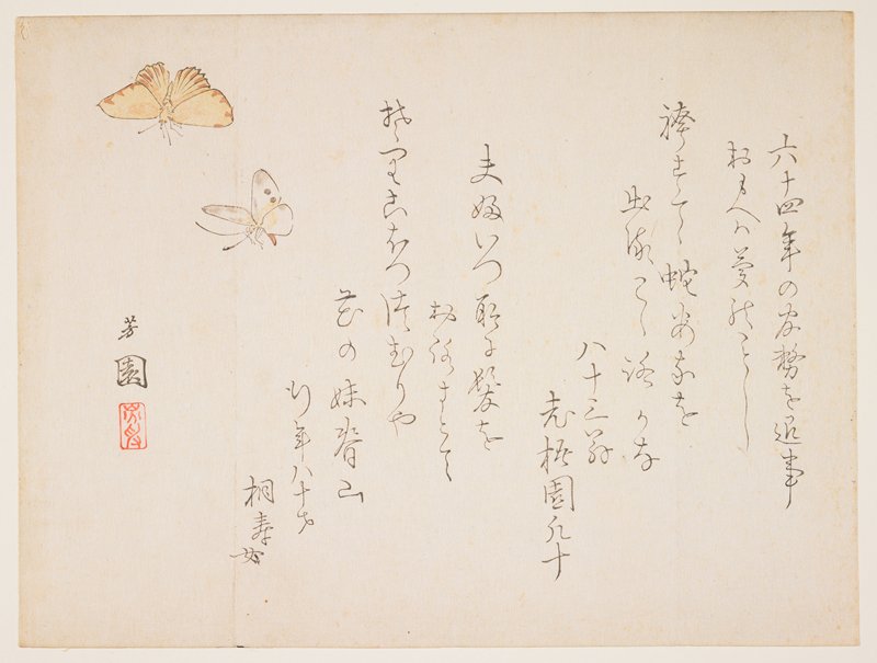(Butterflies), Nishiyama Hōen, 19th century