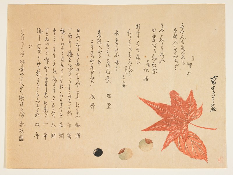 (Autumn leaves and nuts), Kō Sūkoku II, 1850s