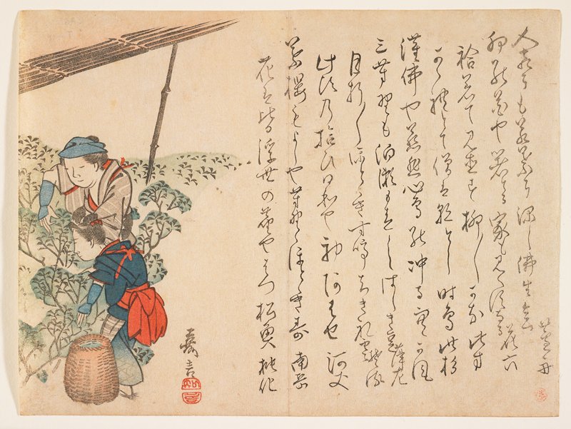 Tea Pickers, Murata Yoshikoto, c. 1830–44