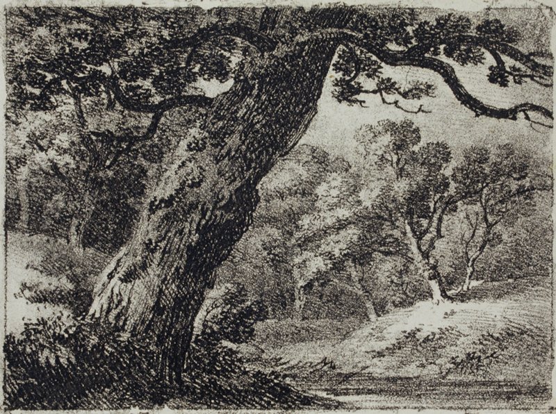 In Hamilton Wood, Hugh William Williams, c. 1808-14
