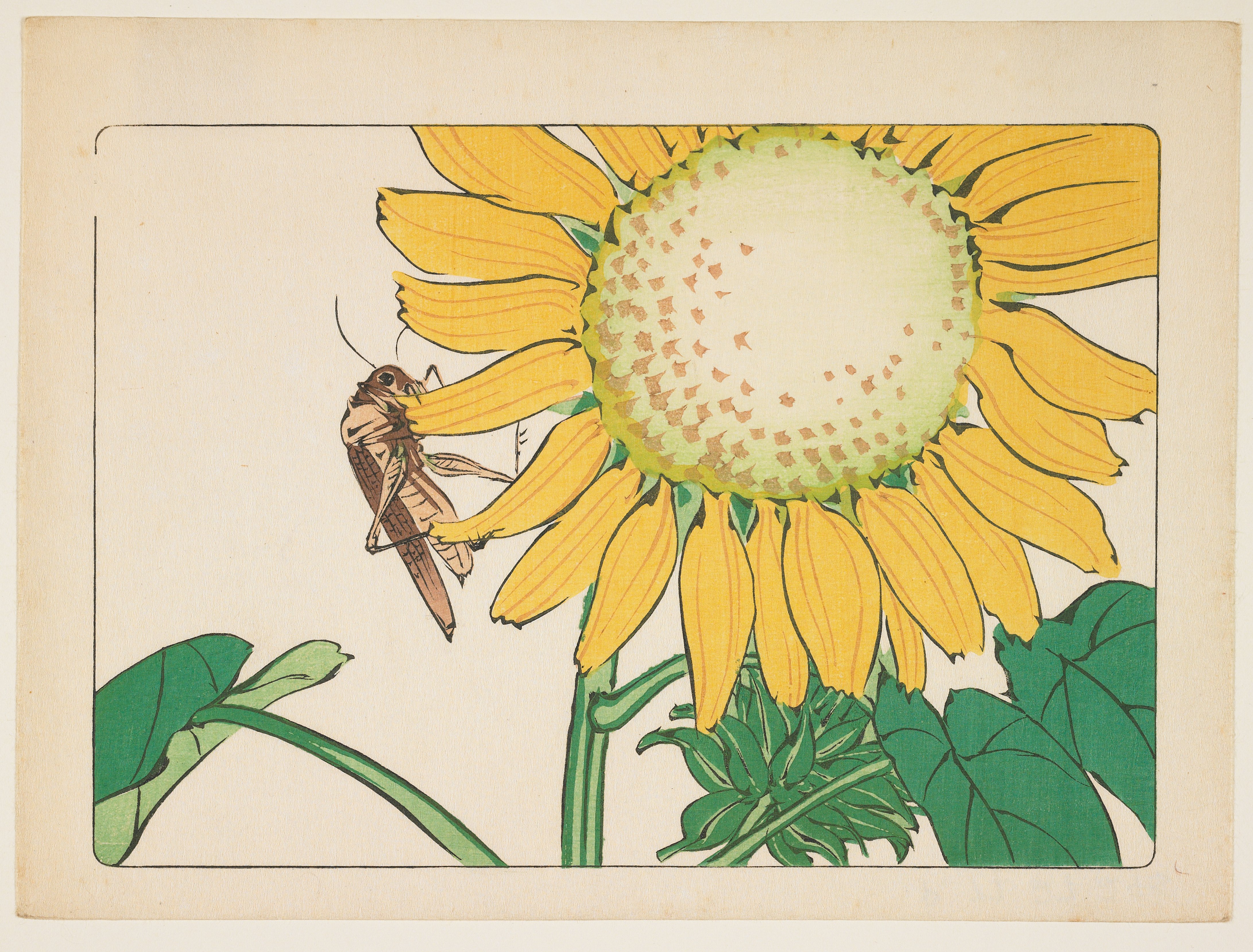Grasshopper and sunflower), Shibata Zeshin | Mia